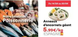 Hmarket Anneaux d'encornets géant offre