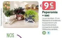 VillaVerde Nos - peperomia + sac offre