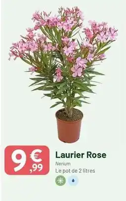 VillaVerde Laurier rose offre