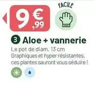 VillaVerde Facile - aloe + vannerie offre
