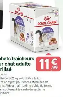 VillaVerde Royal canin - chefs fraicheurs sur chat adulte rilisé offre