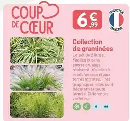 VillaVerde Francaise - collection de graminées offre