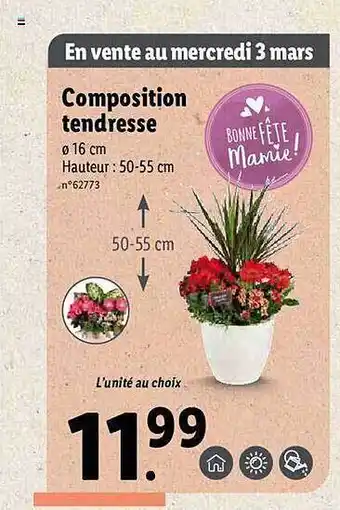 Lidl Composition Tendresse offre