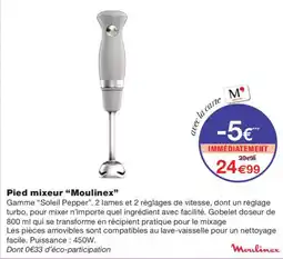 Monoprix Moulinex Pied mixeur offre