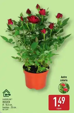 ALDI GARDENLINE® ROSIER offre