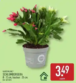 ALDI GARDENLINE SCHLUMBERGERA offre