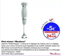 Monop' Moulinex Pied mixeur "Moulinex" offre