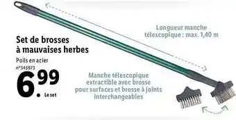 Lidl Set De Brosses à Mauvaises Herbes offre