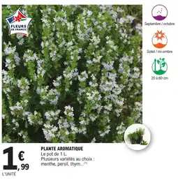 E.Leclerc Brico FLEURS DE FRANCE PLANTE AROMATIQUE offre