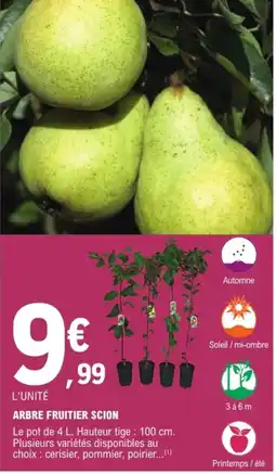 E.Leclerc Brico ARBRE FRUITIER SCION offre