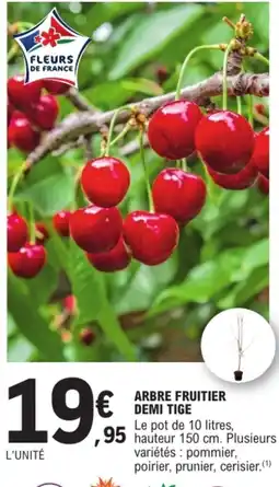 E.Leclerc Brico FLEURS DE FRANCE ARBRE FRUITIER DEMI TIGE offre