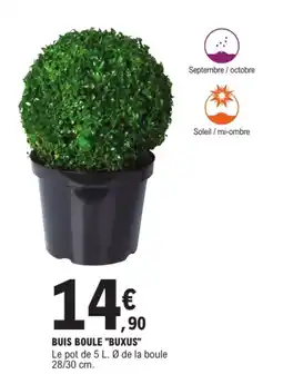E.Leclerc Brico BUXUS BUIS BOULE offre