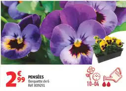 Auchan PENSÉES offre