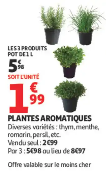 PLANTES AROMATIQUES