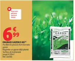 Auchan ENGRAIS GAZON offre