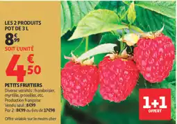 Auchan PETITS FRUITIERS offre