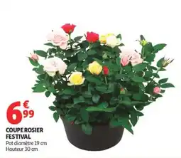 Auchan COUPE ROSIER FESTIVAL offre