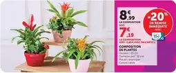 Super U Composition de plantes offre