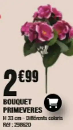 La Foir'Fouille BOUQUET PRIMEVERES offre
