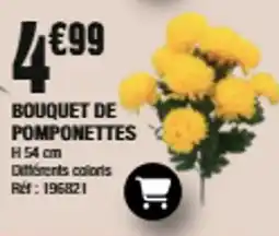La Foir'Fouille BOUQUET DE POMPONETTES offre