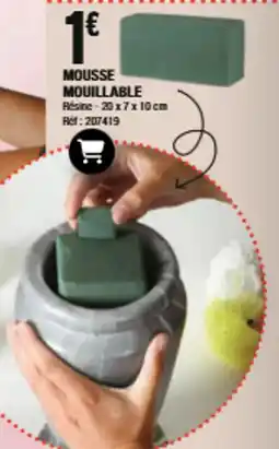 La Foir'Fouille MOUSSE MOUILLABLE offre