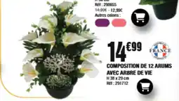La Foir'Fouille Composition de 12 arums avec arbre de vie offre