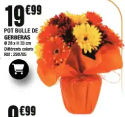 La Foir'Fouille POT BULLE DE GERBERAS offre