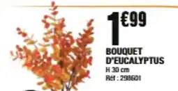 La Foir'Fouille Bouquet d'eucalyptus offre