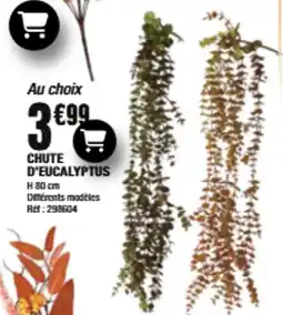La Foir'Fouille CHUTE D'EUCALYPTUS offre