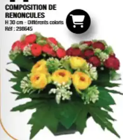 La Foir'Fouille COMPOSITION DE RENONCULES offre