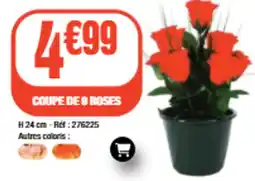 La Foir'Fouille COUPE DE 9 ROSES offre