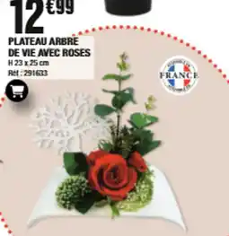 La Foir'Fouille PLATEAU ARBRE DE VIE AVEC ROSES offre