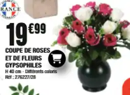La Foir'Fouille COUPE DE ROSES ET DE FLEURS GYPSOPHILES offre