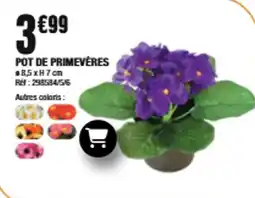 La Foir'Fouille POT DE PRIMEVÈRES offre