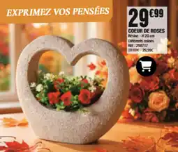 La Foir'Fouille COEUR DE ROSES offre