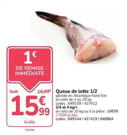 Promocash Queue de lotte offre