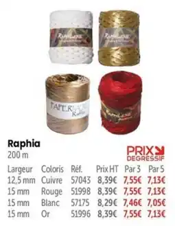 Retif Raphia offre