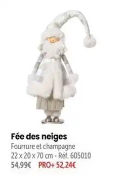 Retif Fée des neiges offre