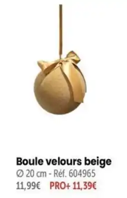 Retif Boule velours beige offre