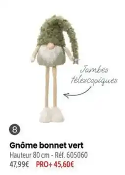 Retif Gnôme bonnet vert offre