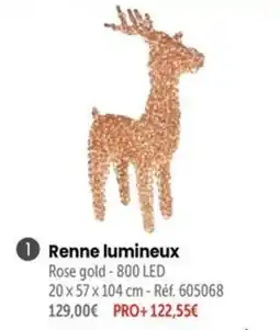 Retif Renne lumineux offre