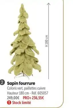 Retif Sapin fourrure offre