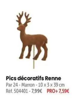 Retif Pics décoratifs Renne offre