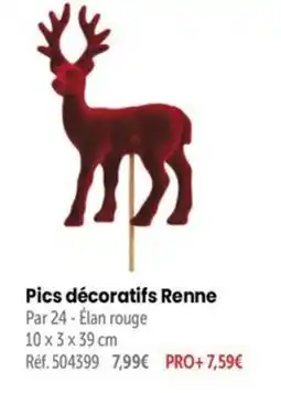 Retif Pics décoratifs Renne offre