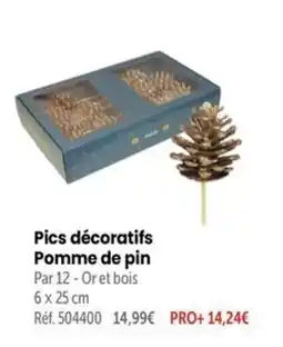Retif Pics décoratifs Pomme de pin offre