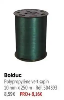 Retif Bolduc Polypropylène vert sapin offre