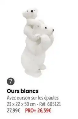 Retif Ours blancs offre