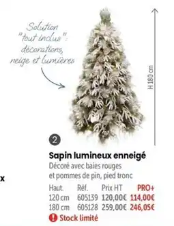 Retif Sapin lumineux enneigé offre