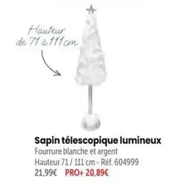 Retif Sapin télescopique lumineux offre