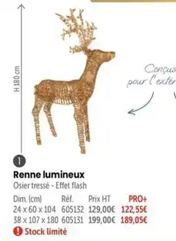 Retif Renne lumineux offre
